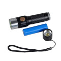 Rechargeable Ultraviolet Blacklight Flashlight High Power LED Inspection Lights